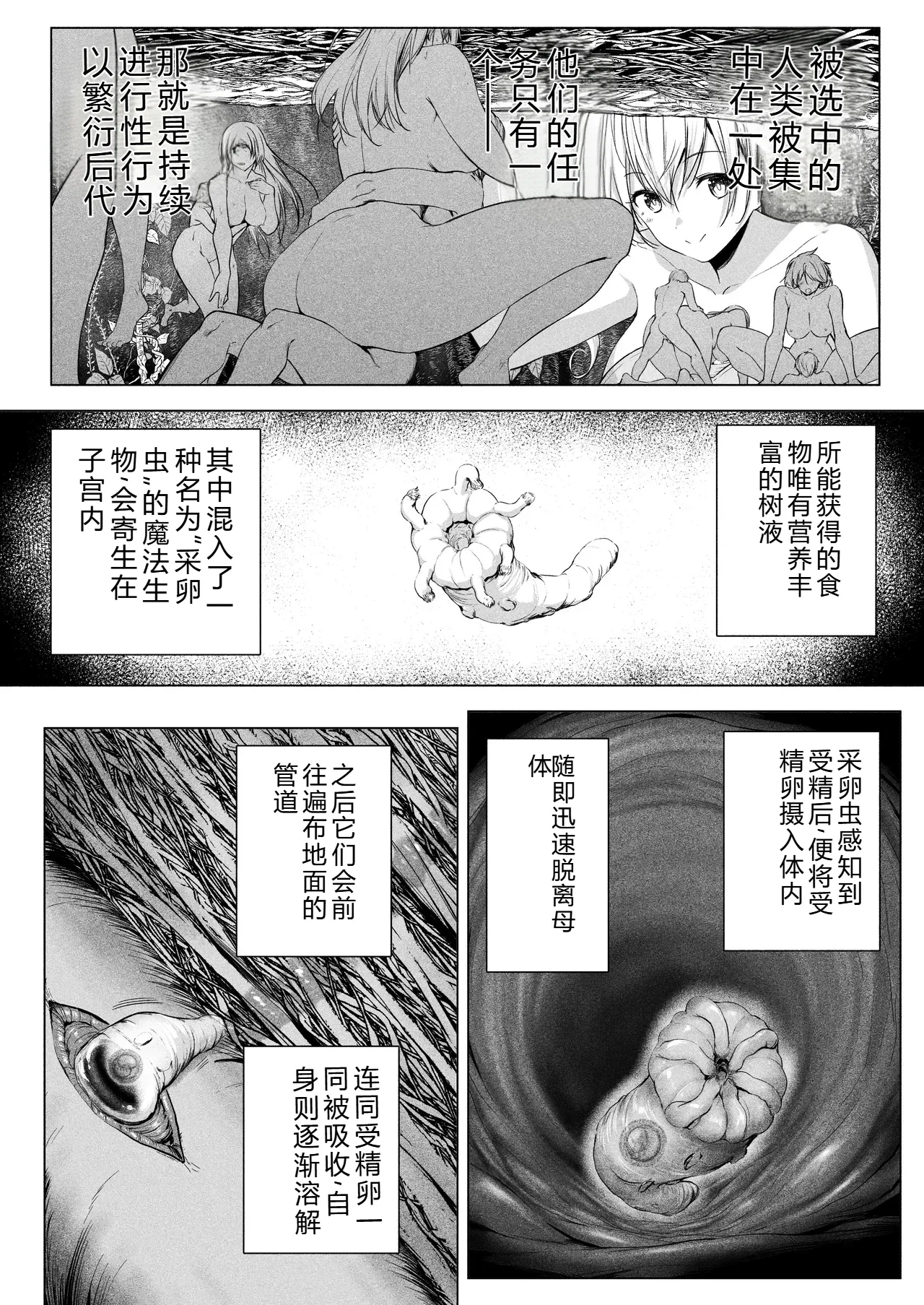 [Honey Lounge (Hachimitsu)] Yousei Rakuen （ai翻译，后半部分） - Page 6