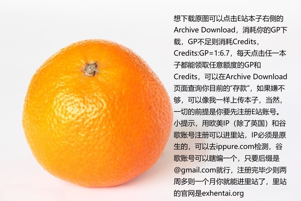 [co]被羽针攻击胸部的奥特艾莉第1-40篇（Orange313个人汉化） - Page 130